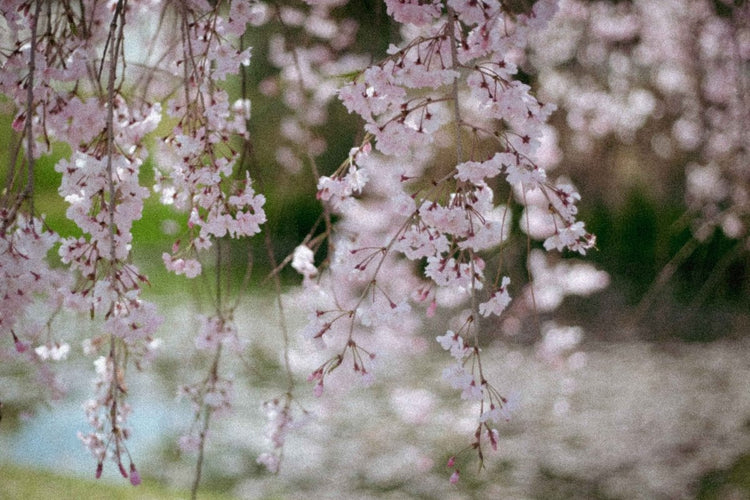 L'HOMME - Studio cashmere8